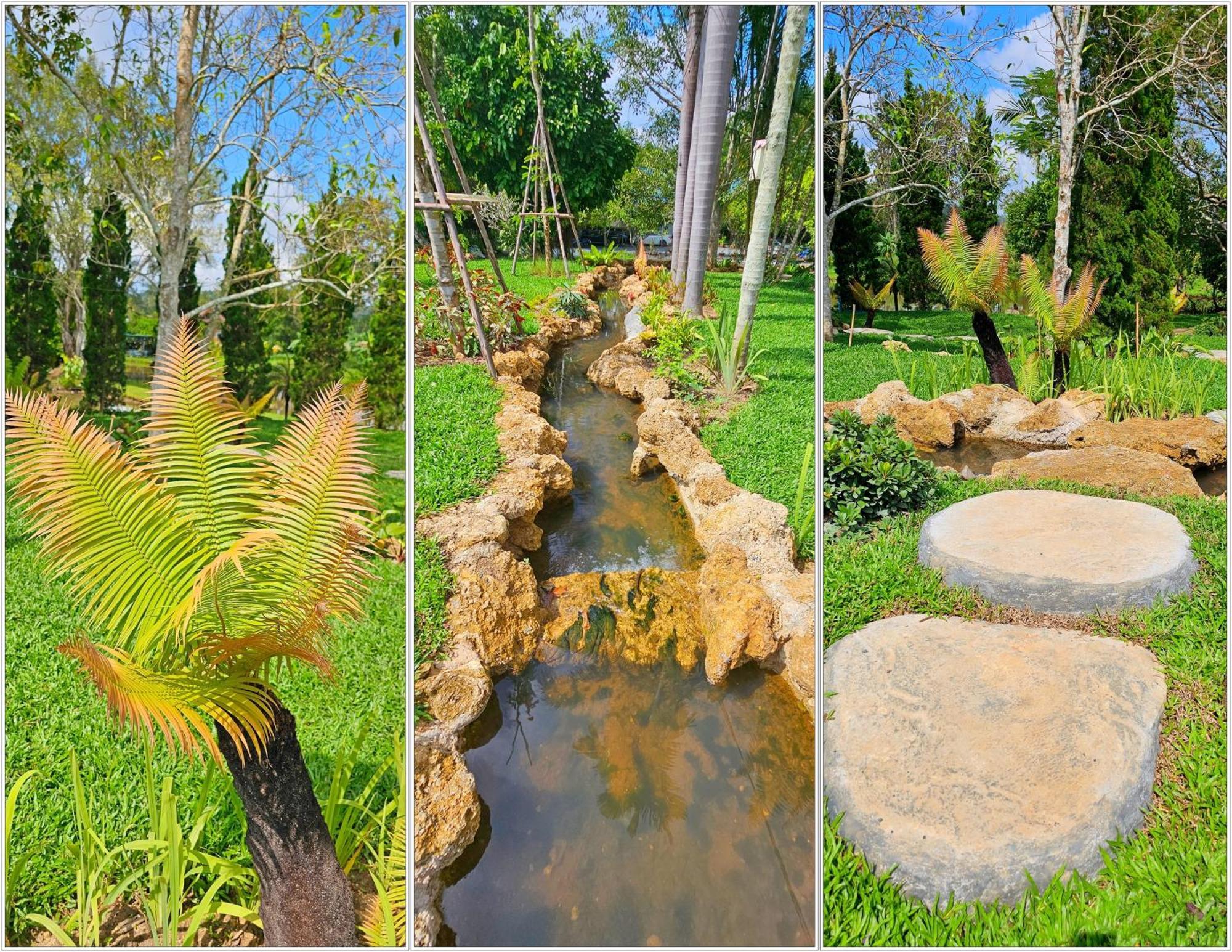 Homdoiintr Farmstay ฮ่อมดอยอินทร์ ฟาร์มสเตย์ Ban Huai Kaeo 외부 사진