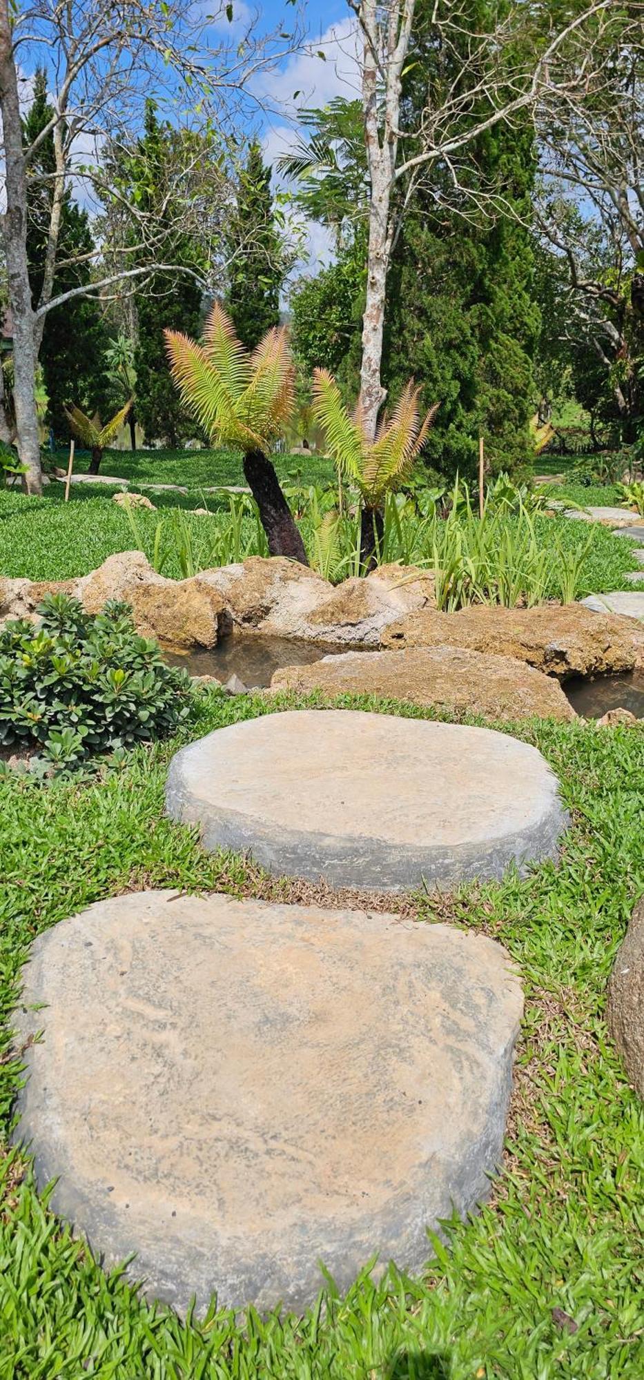 Homdoiintr Farmstay ฮ่อมดอยอินทร์ ฟาร์มสเตย์ Ban Huai Kaeo 외부 사진