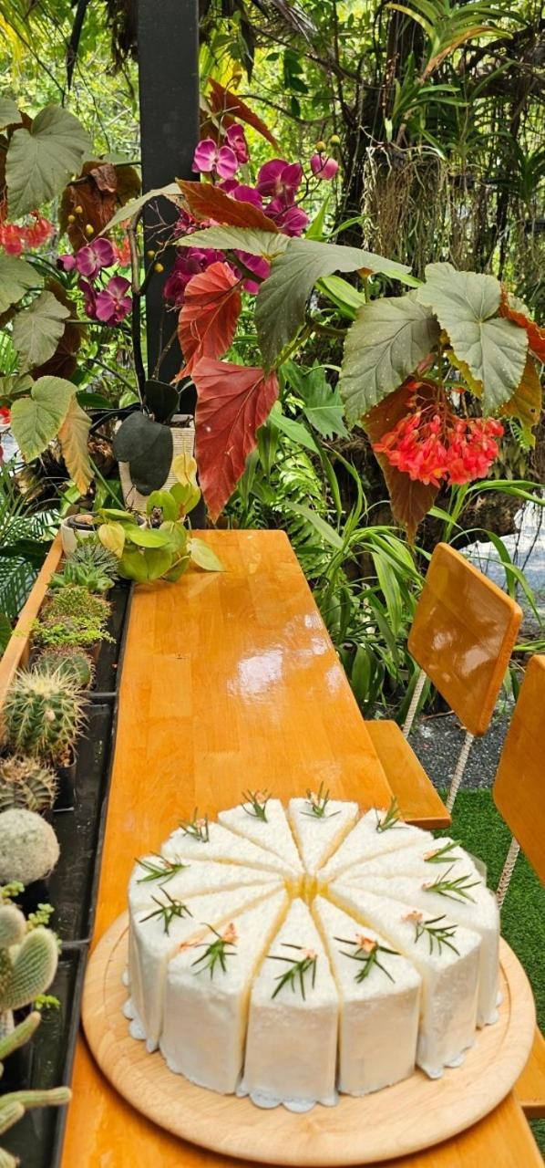 Homdoiintr Farmstay ฮ่อมดอยอินทร์ ฟาร์มสเตย์ Ban Huai Kaeo 외부 사진